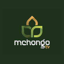 Mchongo